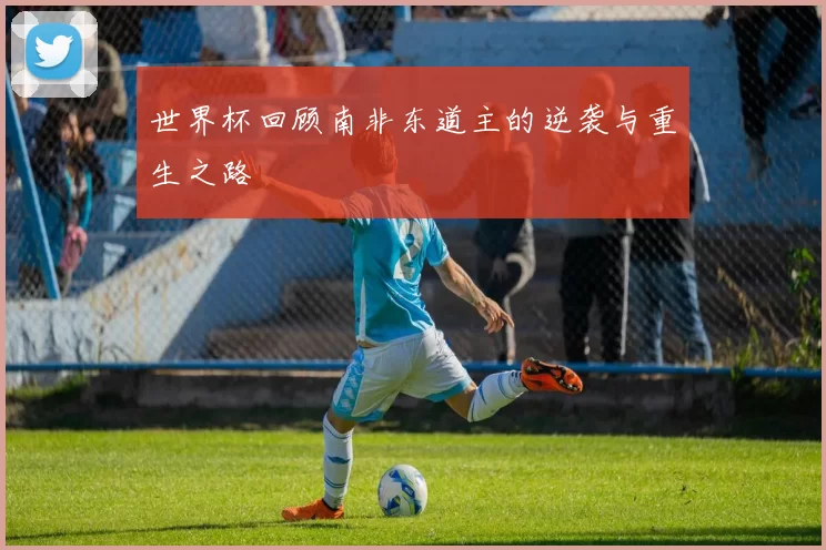 世界杯回顾南非东道主的逆袭与重生之路