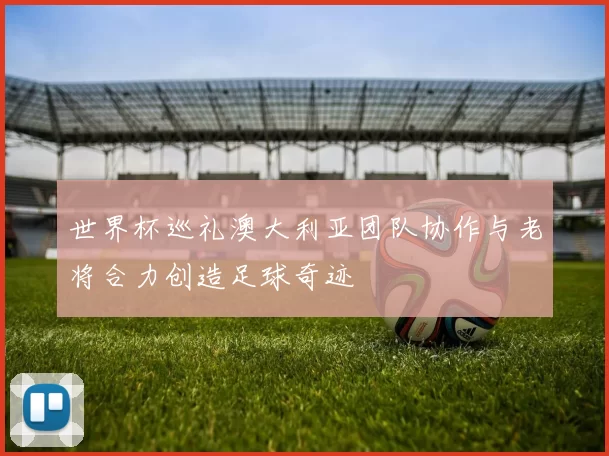 世界杯巡礼澳大利亚团队协作与老将合力创造足球奇迹